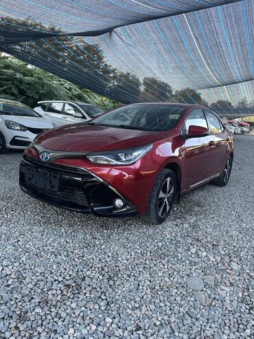 Toyota: Toyota Corolla: 2019 г., 1.8 л, Вариатор, Гибрид, Седан