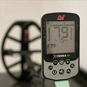 металла искатели: Металлоискатель Minelab X‑TERRA PRO - Платформа Minelab с большим — 5