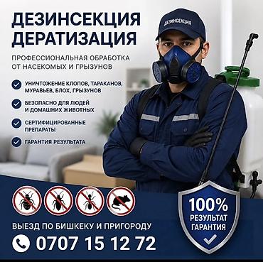 Клининговые услуги: Дезинсекция и дератизация — профессиональная обработка от насекомых и — 1