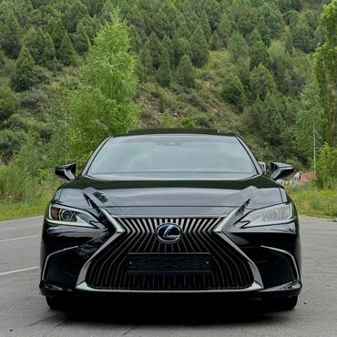 свет для видео: Lexus ES: 2019 г., 2.5 л, Автомат, Гибрид, Седан