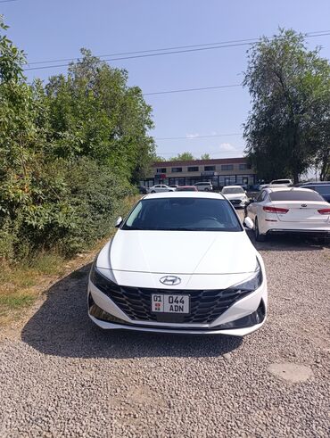 runx alex: Hyundai Avante: 2021 г., 1.6 л, Автомат, Газ, Седан
