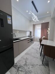 сдается квартира дордой плаза: 2 комнаты, 54 м², Элитка, 10 этаж, Евроремонт