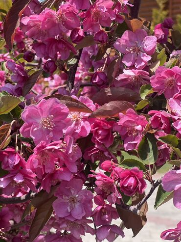 Иссык-Куль 2025: Таунхаус, jannat house 84 ЦО Радуга West, Кош-Кол, Детская площадка, Парковка, стоянка, Охраняемая территория — 23