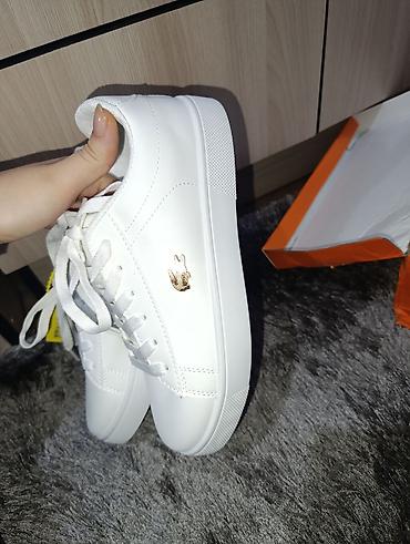 lacoste кроссовки: Кроссовки, 38, Lacoste, Новый, цвет - Белый, Платная доставка — 2