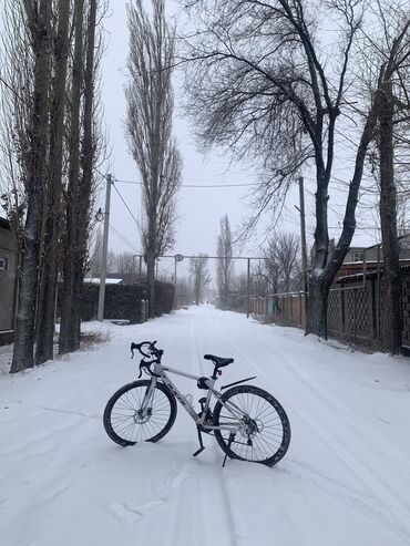 Шоссейные велосипеды: Шоссейный