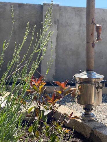 Günlük kirayə evlər: 96 kv. m, 3 otaqlı, Kanalizasiya, Kombi, Qaz -da lalafo.az — 8 Günlük kirayə evlər: 96 kv. m, 3 otaqlı, Kanalizasiya, Kombi, Qaz — 8