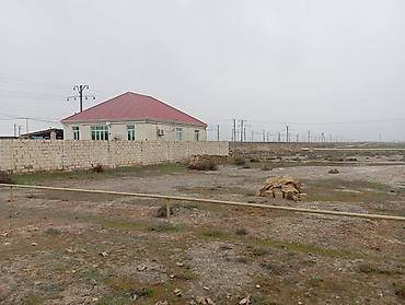 tap az agdas: 4 sot, Mülkiyyətçi, Kupça (Çıxarış) — 3