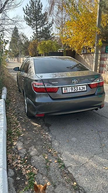 Toyota: Toyota Camry: 2014 г., 2.5 л, Автомат, Бензин, Седан — 4