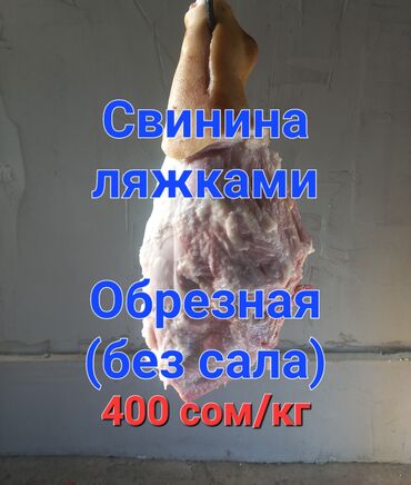 мясо баранины цена: Свинина : Более 10 кг, Бесплатная доставка