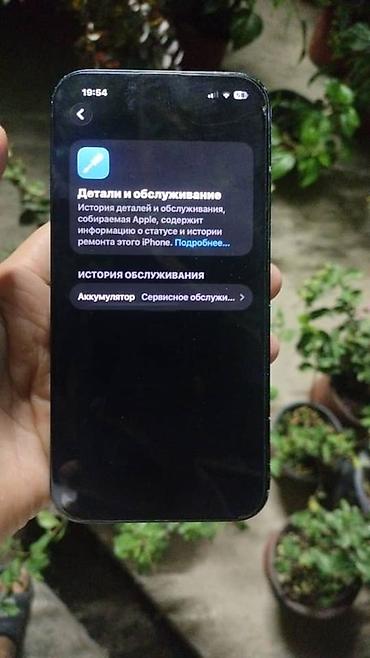 кел кел: IPhone 13, Колдонулган, 128 ГБ, Көк, Коргоочу айнек, Каптама, 81 % — 9