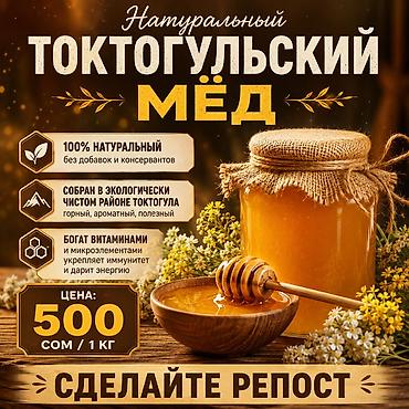 Азык-түлүктөр: 🍯НАТУРАЛЬНЫЙ ТОКТОГУЛЬСКИЙ МЁД - 100% натуральный, без добавок и — 1