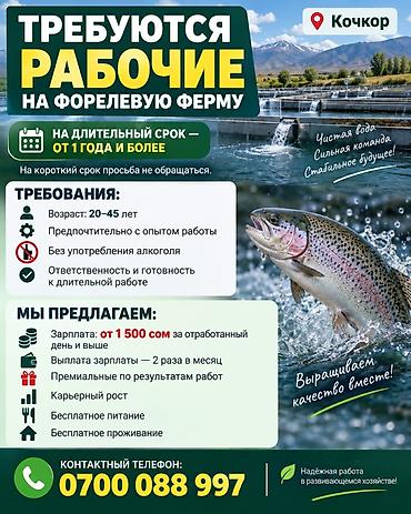 ишу работу маникюр: Требуются рабочие на ферму по разведению форели в Кочкор на длительное — 3