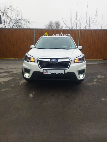 Subaru: Subaru Forester: 2019 г., 2.5 л, Вариатор, Бензин, Кроссовер — 3