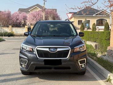 sym: Subaru Forester: 2019 г., 2.5 л, Вариатор, Бензин, Внедорожник