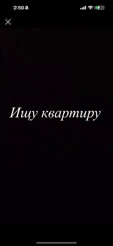 ак босогодон квартира издейм: 2 бөлмө, Менчик ээси, Чогуу жашоосу жок, Толугу менен эмереги бар, Жарым -жартылай эмереги бар