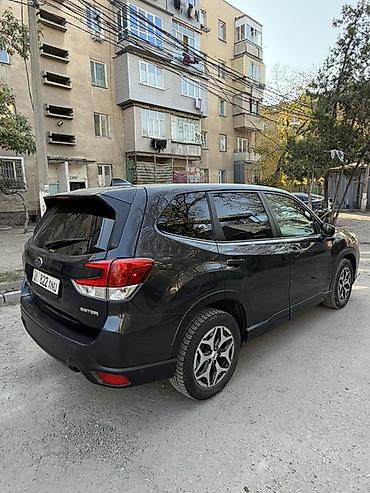 форестер авто: Subaru Forester: 2019 г., 2.5 л, Автомат, Бензин, Кроссовер — 3