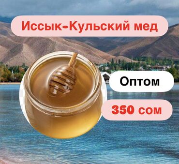 стиральный порошок оптом бишкек: 🍯 Иссык-кульский мёд оптом — напрямую от пасеки! Предлагаем
