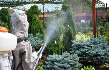 Дезинфекция, дезинсекция: Осоо "дезмастер" . Производим качественную обработку против тараканов
