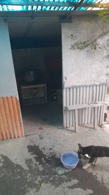 Продажа домов: Дом, 59 м², 3 комнаты, Риэлтор, Старый ремонт — 7