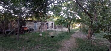 бина аз недвижимость: 5 sot, Tikinti, Mülkiyyətçi, Kupça (Çıxarış)