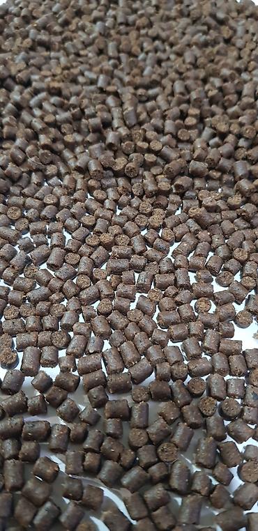 Товары и оборудование для с/х животных: ГРАНУЛЯТОРЫ ИЗГОТОВЛЕНИЕ ПОД ЗАКАЗ — 13