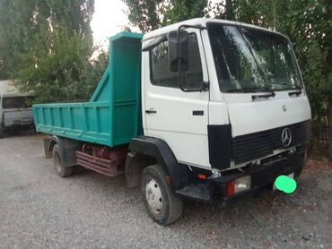 машина для перевозки: Mercedes-Benz : 1993 г., 5.9 л, Механика, Дизель