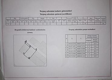10000 evler: 4 sot, Kənd təsərrüfatı, Mülkiyyətçi, Kupça (Çıxarış) — 4
