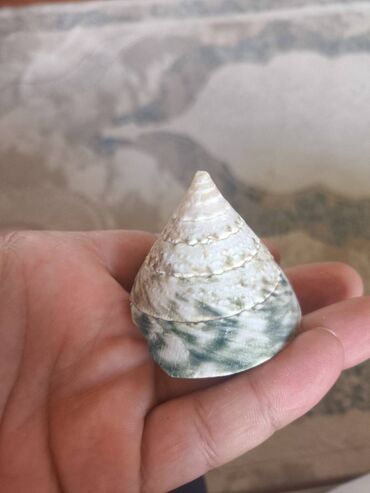 Digər ev dekoru: 1. Növ və nadirlik: • Soldakı və sağdakı hamar, qəhvəyi naxışlı — 11