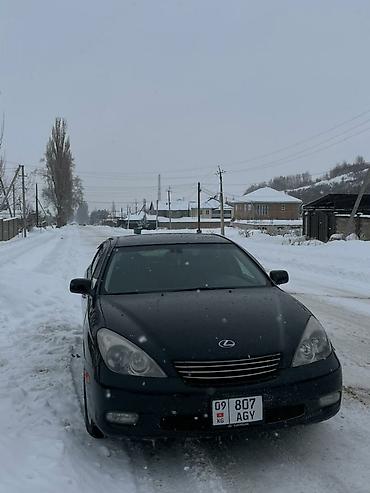 Lexus: Lexus ES: 2004 г., 3.3 л, Автомат, Бензин, Седан — 11