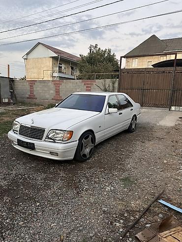 муровей бензин: Mercedes-Benz S-Class: 1997 г., 5 л, Седан — 5