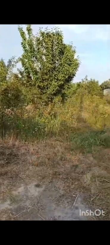 Torpaq sahələrinin satışı: 18 sot, Kənd təsərrüfatı, Mülkiyyətçi, Kupça (Çıxarış), Texniki pasport — 8