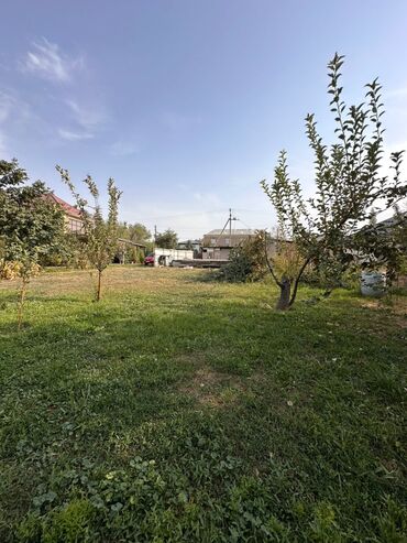 Продажа участков: 8 соток, Для строительства, Красная книга, Тех паспорт — 2