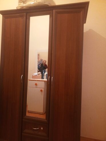 Professional sobalar: İşlənmiş, 3 qapılı Düz dolab, Qarderob, paltar dolabı