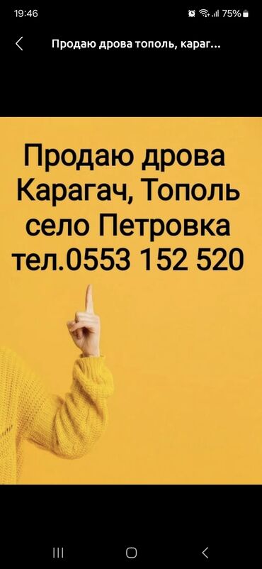 Дрова: Дрова Тополь