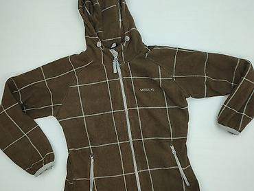 and bear pull: Bluza z kapturem damska, rozmiar M — 1