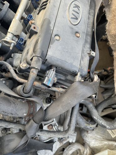 Двигатели, моторы и ГБЦ: Двигатель Kia Ceed 2007 Контрактный из Германии, в отличном — 8