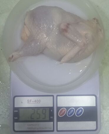 Quş: İnsan sağlamdırsa xoşbəxtdir. Sağlam qalmaq üçün həftədə 3-4 ədəd — 7