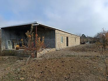 Torpaq sahələrinin satışı: 25 sot, Kənd təsərrüfatı, Mülkiyyətçi, Kupça (Çıxarış) -da lalafo.az — 20 Torpaq sahələrinin satışı: 25 sot, Kənd təsərrüfatı, Mülkiyyətçi, Kupça (Çıxarış) — 20