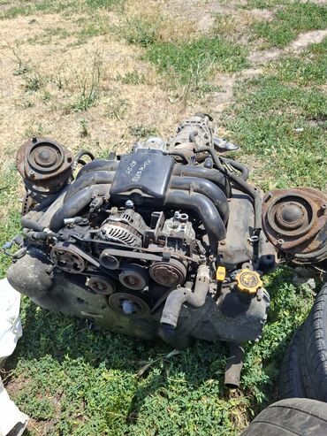запчасть мотор: Бензиндик кыймылдаткыч Subaru 2008 г., 3 л, Колдонулган, Оригинал, Германия