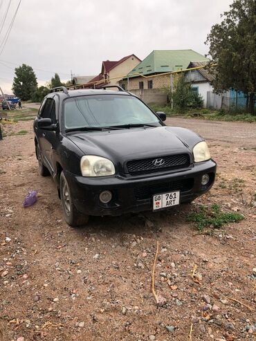 Hyundai: Hyundai Santa Fe: 2003 г., 3.5 л, Автомат, Бензин, Кроссовер