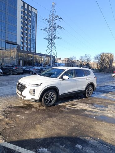 донголок 15 65 195: Hyundai Santa Fe: 2018 г., 2 л, Автомат, Дизель, Кроссовер