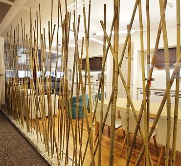 Бамбук: Натуральные тростниковые/бамбуковые палки (камышовые стебли) в — 4