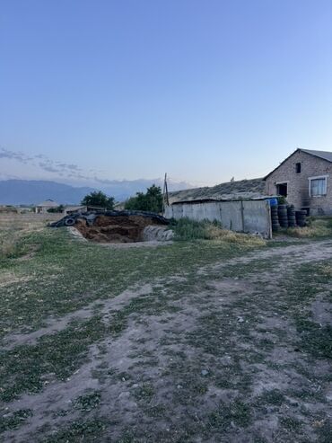 Коровы, быки: Продается кошара в селе Мураке, Московский район, территория участка 1 — 7