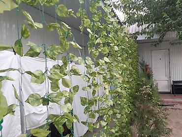 Посуточная аренда квартир: 1 комната, Постельное белье, Парковка, Бронь — 21