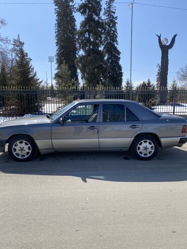 Mercedes-Benz: Mercedes-Benz W124: 1992 г., 2 л, Механика, Бензин, Седан