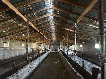 Продажа сельхоз предприятий: Продается Кошар на земельном участке площадью 1000,0 кв.м. Имеется at lalafo.kg — 2 Продажа сельхоз предприятий: Продается Кошар на земельном участке площадью 1000,0 кв.м. Имеется — 2