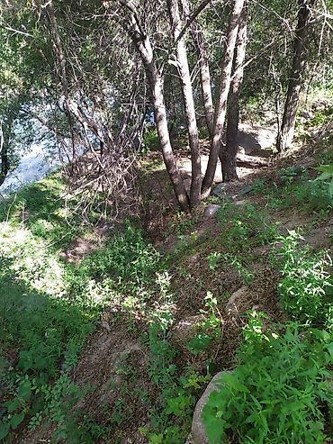 Продажа участков: 3 соток, Для строительства, Красная книга, Тех паспорт — 4