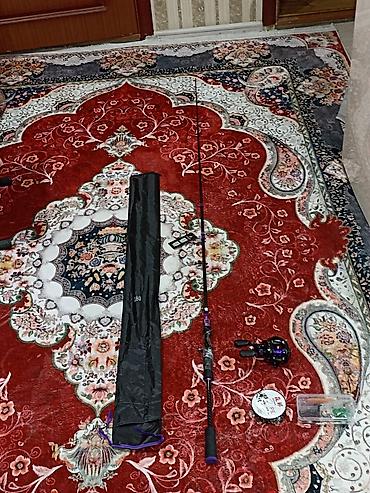 прудь: Спиннинговый комплект для кастинговой ловли (бейткастинг) Состав — 2