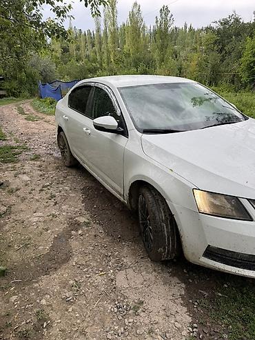 авто полироль: Skoda Octavia: 2018 г., 1.6 л, Автомат, Бензин, Седан — 7