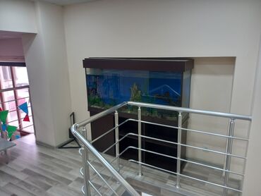 Kommersiya daşınmaz əmlakının satışı: Təcili satılır. Hal hazırda idman zalı kimi fəaliyyət göstərir, bir az -da lalafo.az — 10 Kommersiya daşınmaz əmlakının satışı: Təcili satılır. Hal hazırda idman zalı kimi fəaliyyət göstərir, bir az — 10